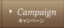 Campaignڡ