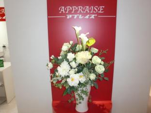 ���Ӥ˴ؤ���ѡ������ʰ��٤����䤹���Ͻ���ޤ�������